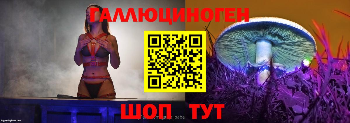 Галлюциногенные грибы Psilocybe Великий Новгород